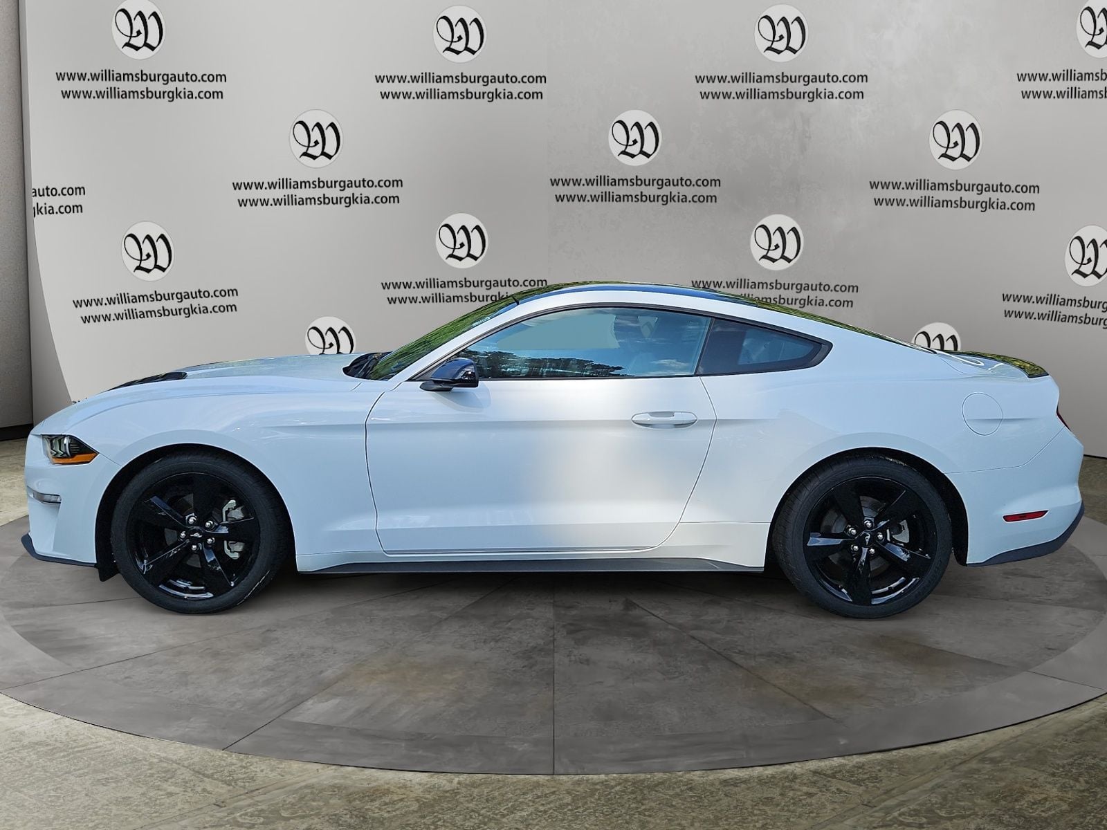 2023 Ford Mustang EcoBoost Photo in Williamsburg VA 23185