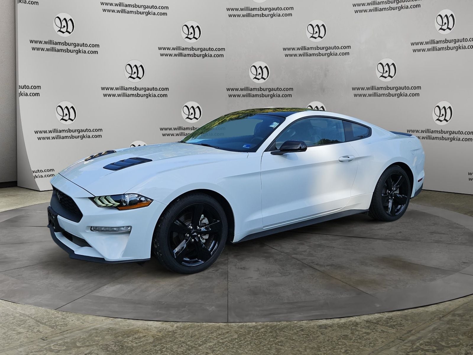 2023 Ford Mustang EcoBoost Photo in Williamsburg VA 23185
