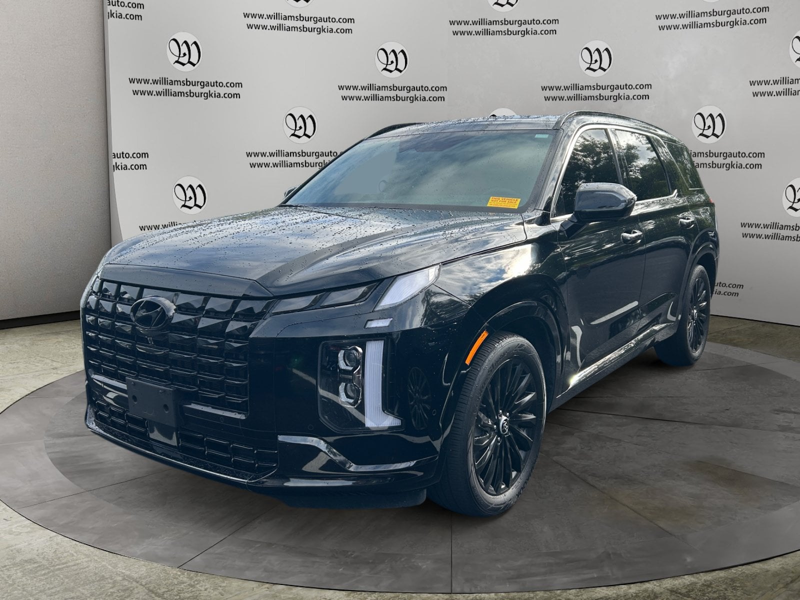 2025 Hyundai Palisade Calligraphy Night Edition Photo in Williamsburg VA 23185